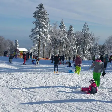 Mari 14 דירה מריבור